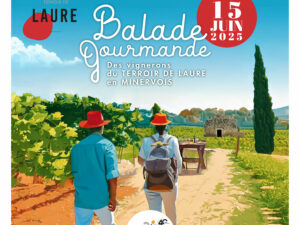 Balade vigneronne 2025