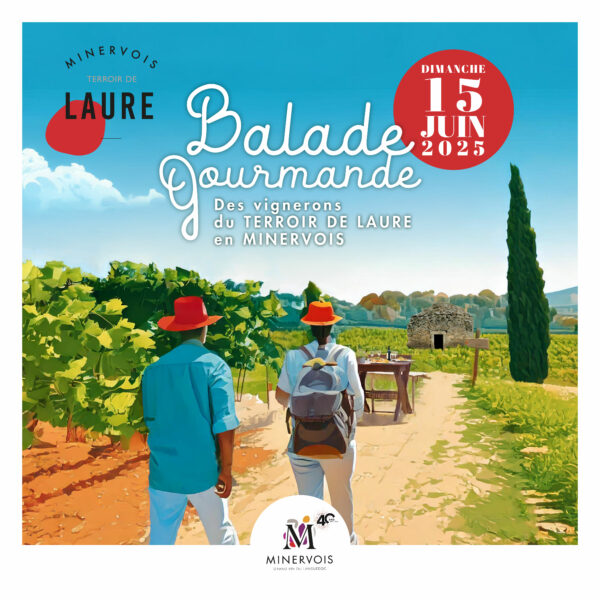 Balade vigneronne 2025
